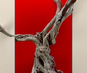 9781593767150-trimmed
