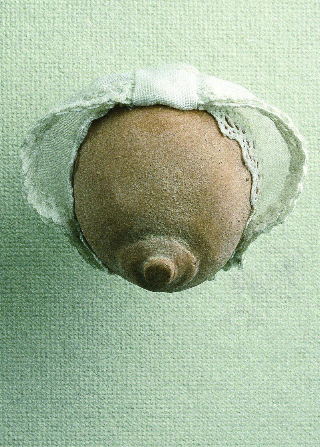Barbara Zucker, German Wet Nurse, 1995.